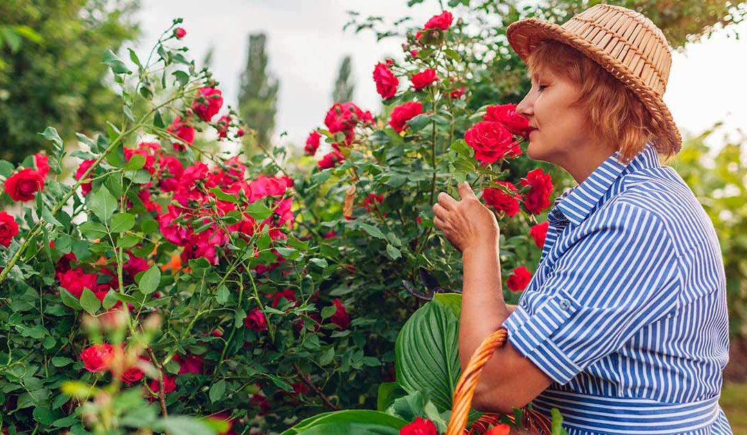 Planting Flowers